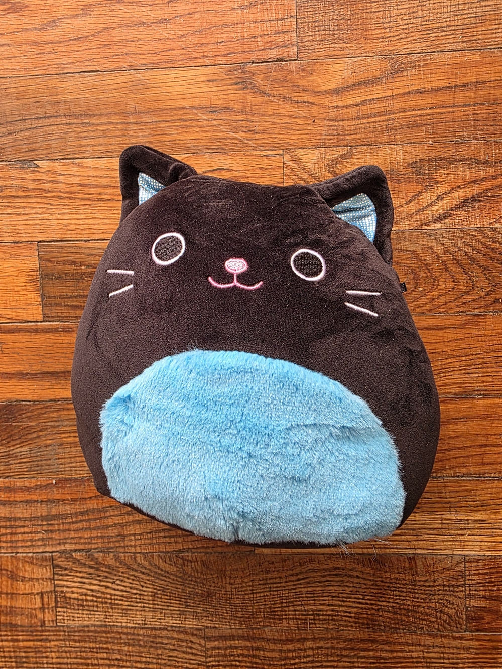 Squishmallows Epinine The Black Cat Halloween Themed Squishmallows